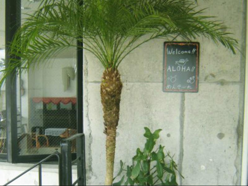 Pension Moon Villa Onna Esterno foto